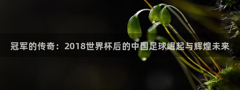 2026世界杯赛程：冠军的传奇：2018世界杯后的中国足球崛起与辉煌未来