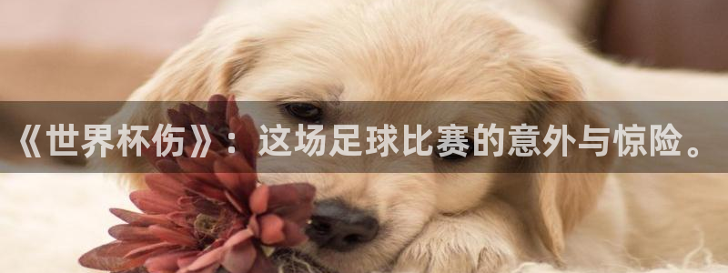 2026世界杯德国队阵容：《世界杯伤》：这场足球比赛的意外与惊险。