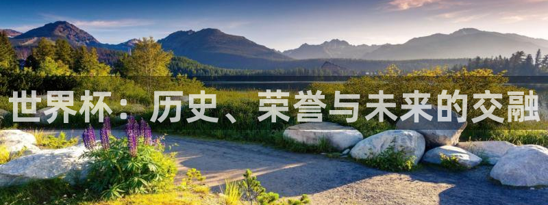 世界杯赛程2026：世界杯：历史、荣誉与未来的交融