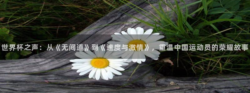 世界杯欧洲区预选赛：世界杯之声：从《无间道》到《速度与激情》，重温中国运动员的荣耀故事