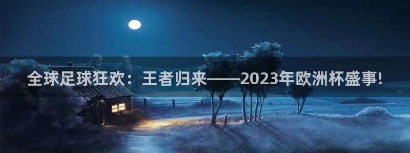 国际足联世界杯：全球足球狂欢：王者归来——2023年欧洲杯盛事!