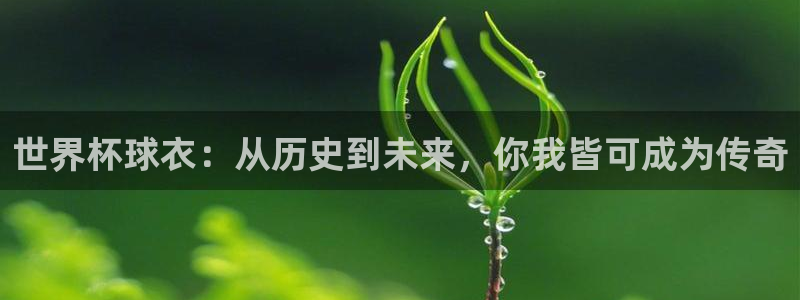 世界杯16强赛程表：世界杯球衣：从历史到未来，你我皆可成为传奇