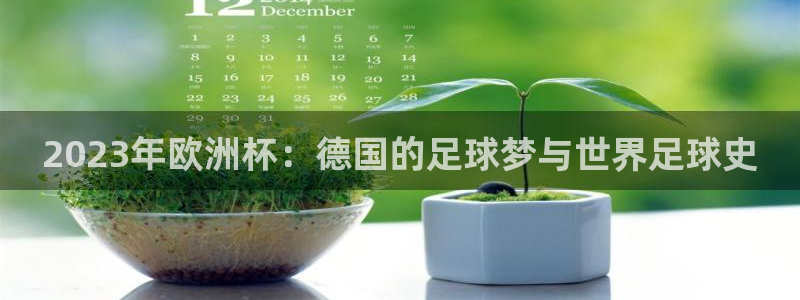 世界杯第一场比赛：2023年欧洲杯：德国的足球梦与世界足球史